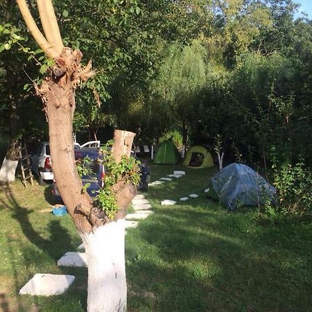 Camping in Clisura Dunarii Ieşelniţa Bagian luar foto