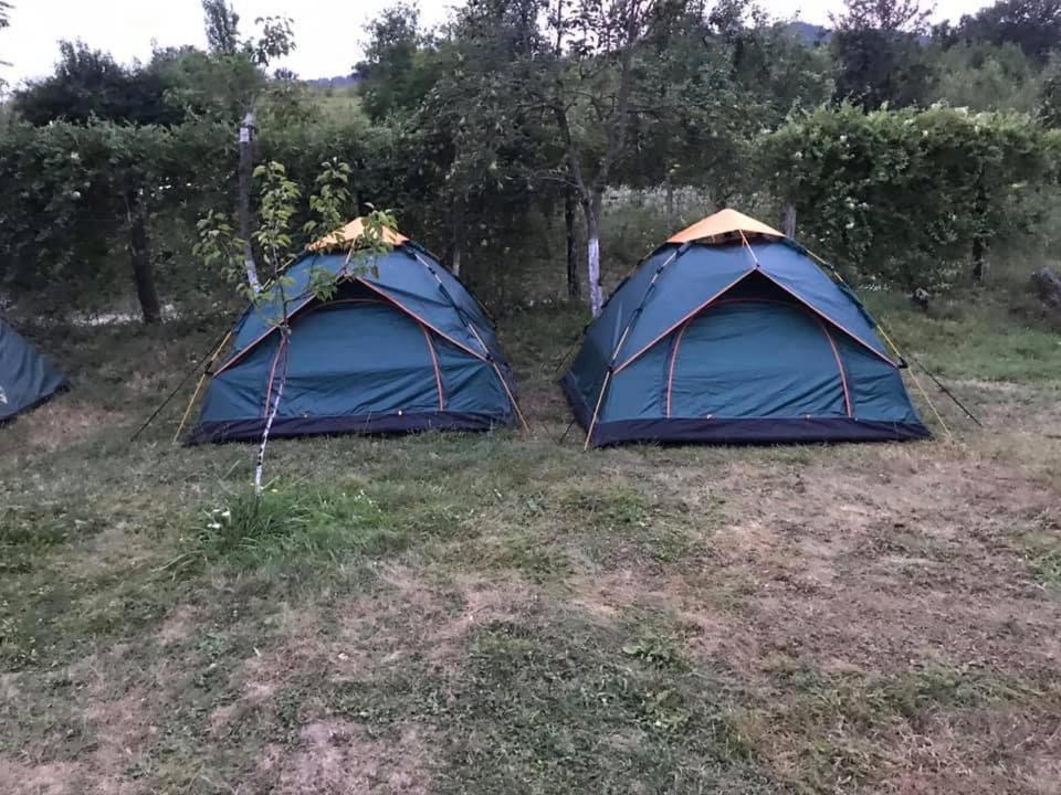 Camping in Clisura Dunarii Ieşelniţa Bagian luar foto