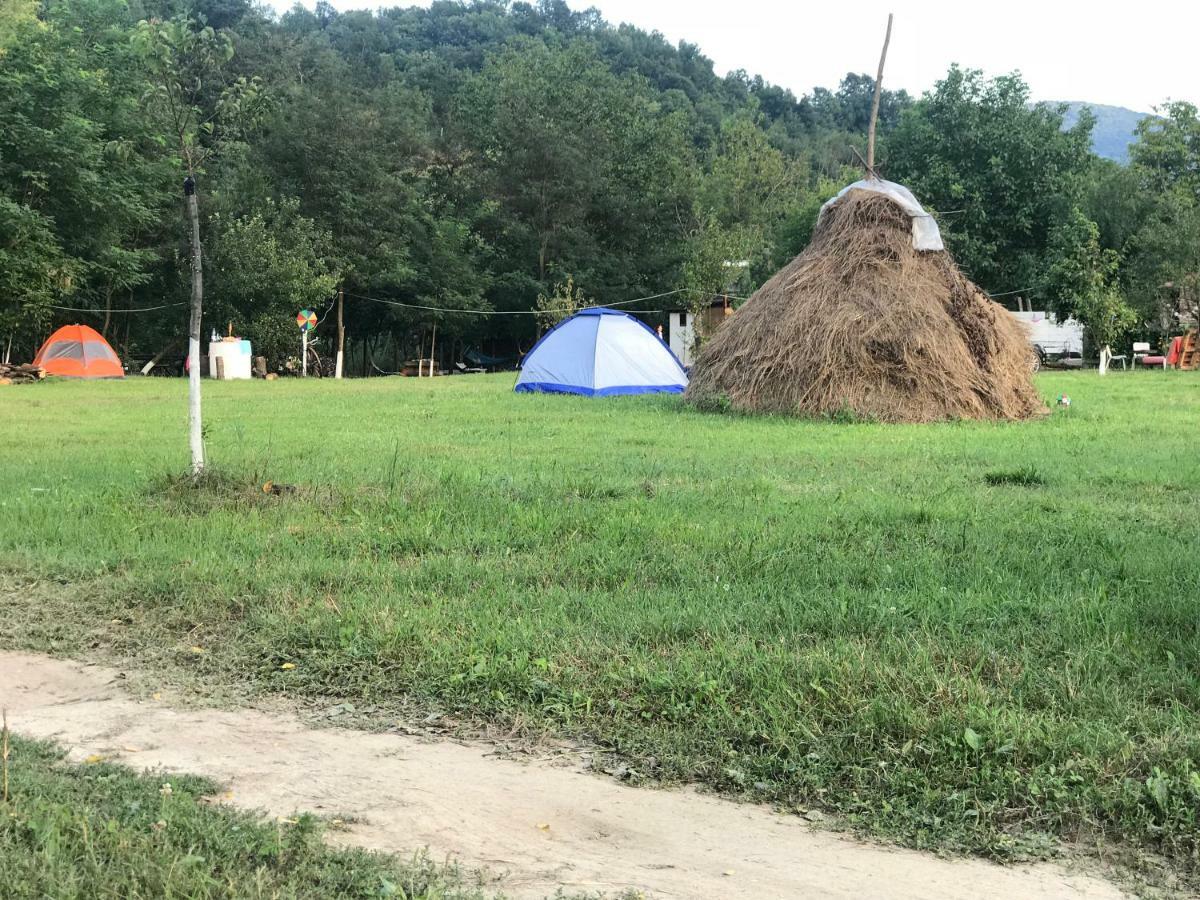 Camping in Clisura Dunarii Ieşelniţa Bagian luar foto