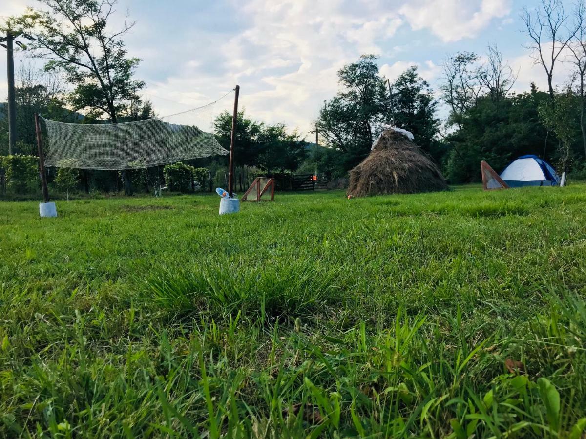 Camping in Clisura Dunarii Ieşelniţa Bagian luar foto