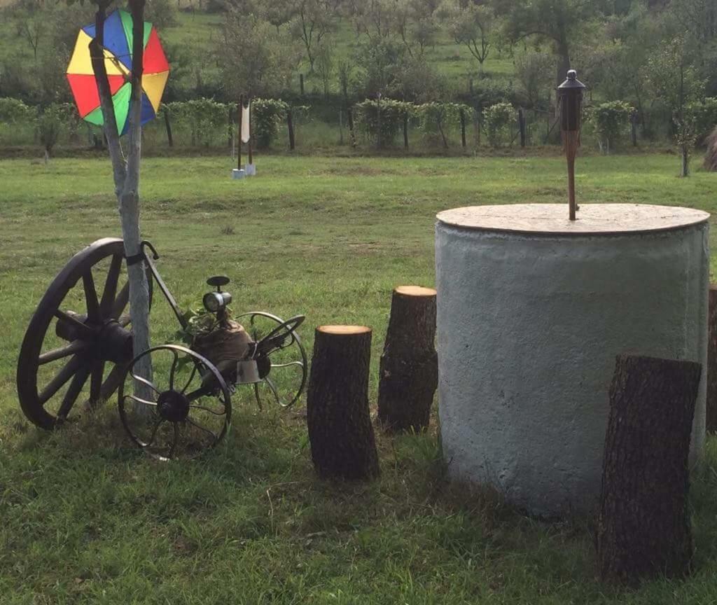 Camping in Clisura Dunarii Ieşelniţa Bagian luar foto