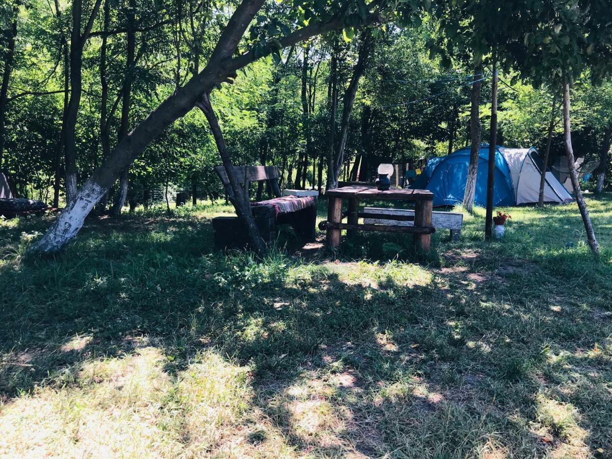 Camping in Clisura Dunarii Ieşelniţa Bagian luar foto