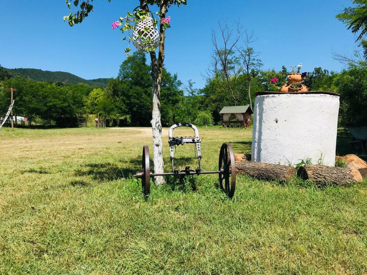 Camping in Clisura Dunarii Ieşelniţa Bagian luar foto