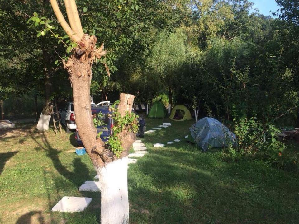 Camping in Clisura Dunarii Ieşelniţa Bagian luar foto