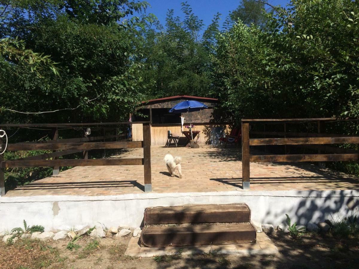 Camping in Clisura Dunarii Ieşelniţa Bagian luar foto