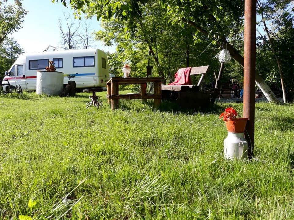 Camping in Clisura Dunarii Ieşelniţa Bagian luar foto