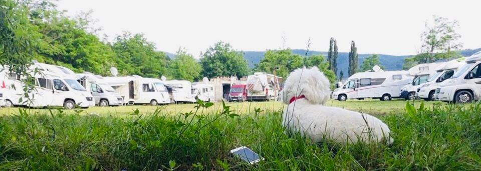 Camping in Clisura Dunarii Ieşelniţa Bagian luar foto